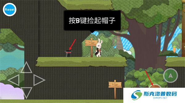 追逐繁星的兔子